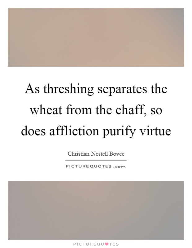 As threshing separates the wheat from the chaff, so does affliction purify virtue Picture Quote #1