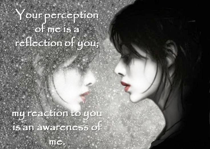 Your perception of me is a reflection of you; my reaction to you is an awareness of me Picture Quote #1
