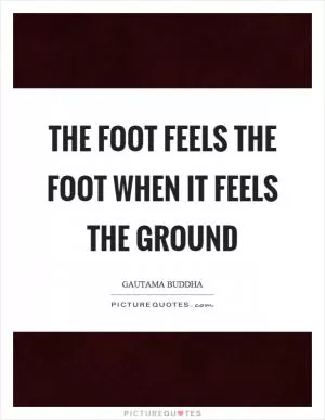 The foot feels the foot when it feels the ground Picture Quote #1