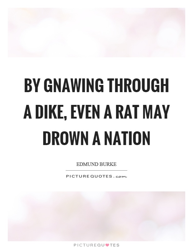 By gnawing through a dike, even a rat may drown a nation Picture Quote #1