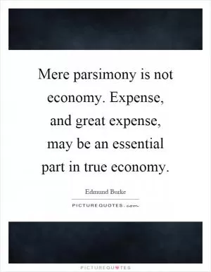Mere parsimony is not economy. Expense, and great expense, may be an essential part in true economy Picture Quote #1