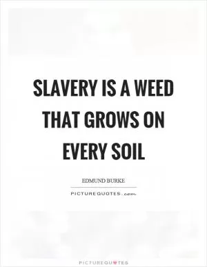Slavery is a weed that grows on every soil Picture Quote #1