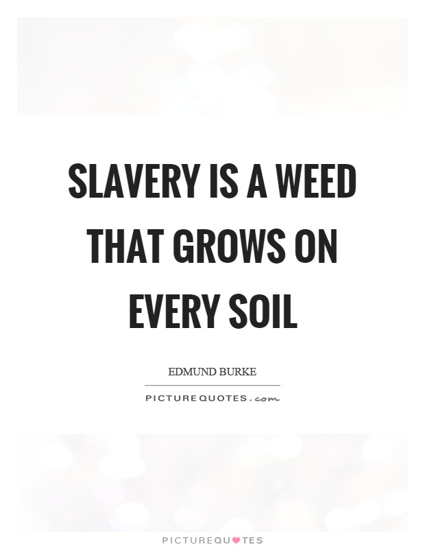 Slavery is a weed that grows on every soil Picture Quote #1