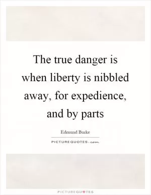 The true danger is when liberty is nibbled away, for expedience, and by parts Picture Quote #1