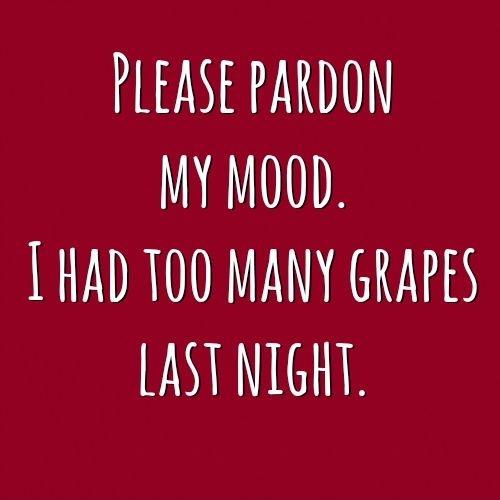 Please pardon my mood. I had too many grapes last night Picture Quote #1