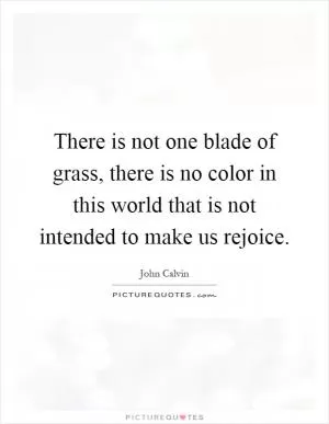 There is not one blade of grass, there is no color in this world that is not intended to make us rejoice Picture Quote #1