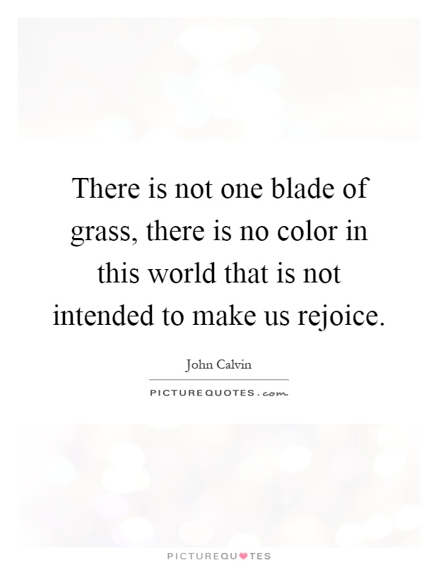 There is not one blade of grass, there is no color in this world that is not intended to make us rejoice Picture Quote #1