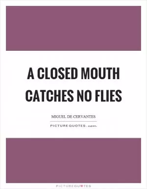 A closed mouth catches no flies Picture Quote #1