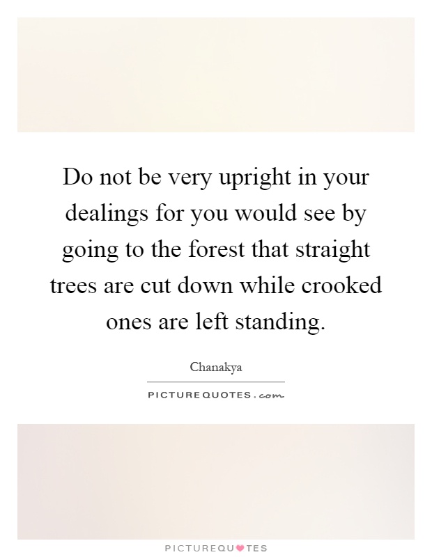 Do not be very upright in your dealings for you would see by going to the forest that straight trees are cut down while crooked ones are left standing Picture Quote #1