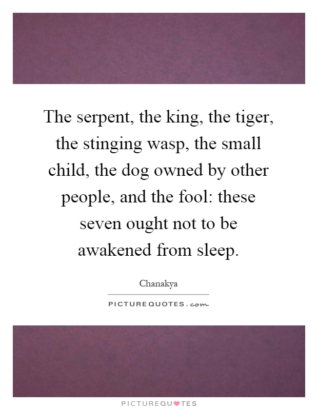 The serpent, the king, the tiger, the stinging wasp, the small child, the dog owned by other people, and the fool: these seven ought not to be awakened from sleep Picture Quote #1