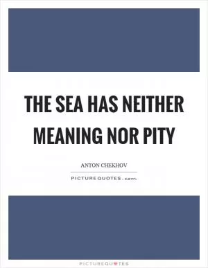 The sea has neither meaning nor pity Picture Quote #1