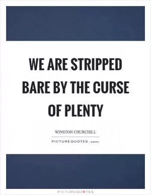 We are stripped bare by the curse of plenty Picture Quote #1