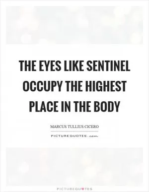 The eyes like sentinel occupy the highest place in the body Picture Quote #1