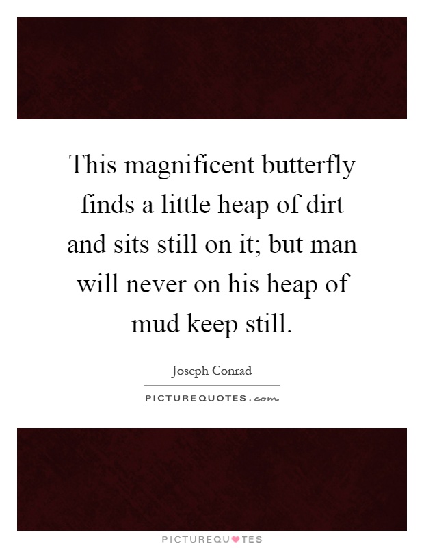 This magnificent butterfly finds a little heap of dirt and sits still on it; but man will never on his heap of mud keep still Picture Quote #1