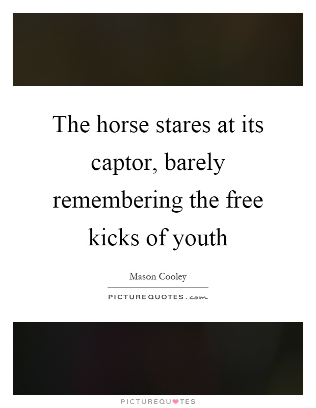 The horse stares at its captor, barely remembering the free kicks of youth Picture Quote #1