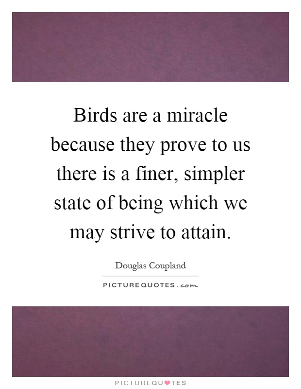 Birds are a miracle because they prove to us there is a finer, simpler state of being which we may strive to attain Picture Quote #1