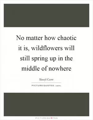 No matter how chaotic it is, wildflowers will still spring up in the middle of nowhere Picture Quote #1