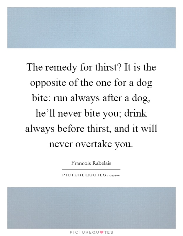 The remedy for thirst? It is the opposite of the one for a dog bite: run always after a dog, he'll never bite you; drink always before thirst, and it will never overtake you Picture Quote #1