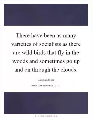 There have been as many varieties of socialists as there are wild birds that fly in the woods and sometimes go up and on through the clouds Picture Quote #1