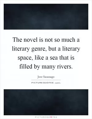 The novel is not so much a literary genre, but a literary space, like a sea that is filled by many rivers Picture Quote #1