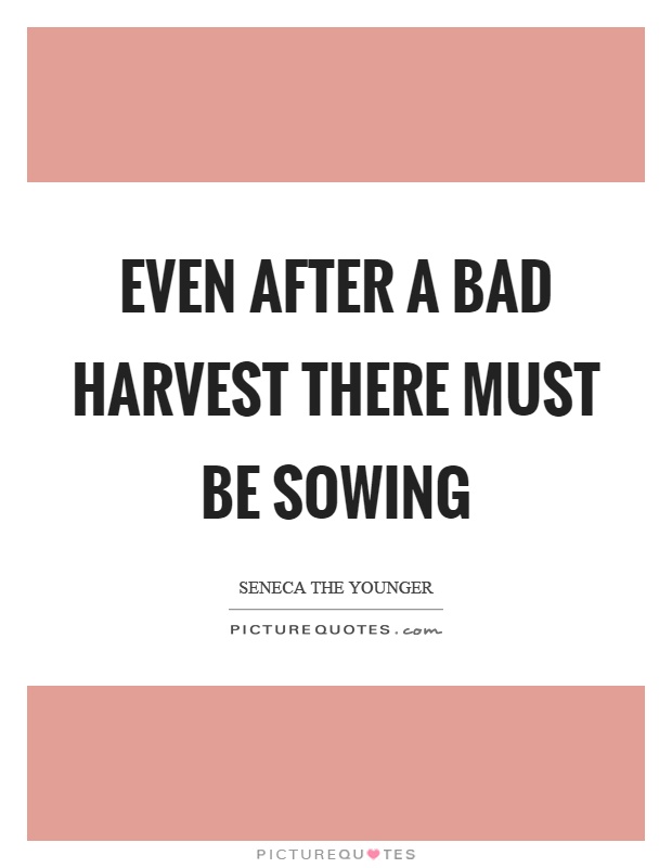 Even after a bad harvest there must be sowing Picture Quote #1