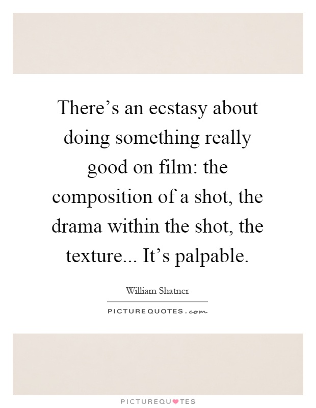 There's an ecstasy about doing something really good on film: the composition of a shot, the drama within the shot, the texture... It's palpable Picture Quote #1