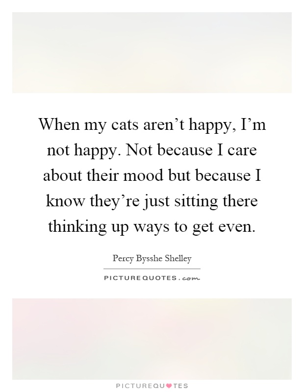 When my cats aren't happy, I'm not happy. Not because I care about their mood but because I know they're just sitting there thinking up ways to get even Picture Quote #1