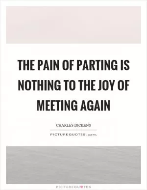 The pain of parting is nothing to the joy of meeting again Picture Quote #1