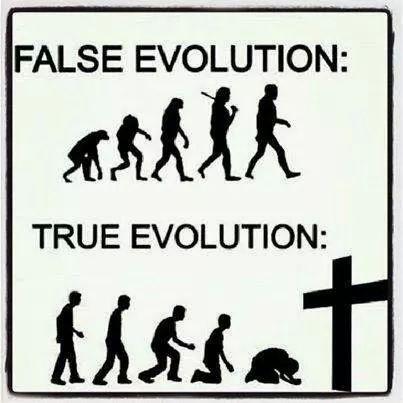 False evolution. True evolution Picture Quote #1
