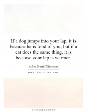 If a dog jumps into your lap, it is because he is fond of you; but if a cat does the same thing, it is because your lap is warmer Picture Quote #1