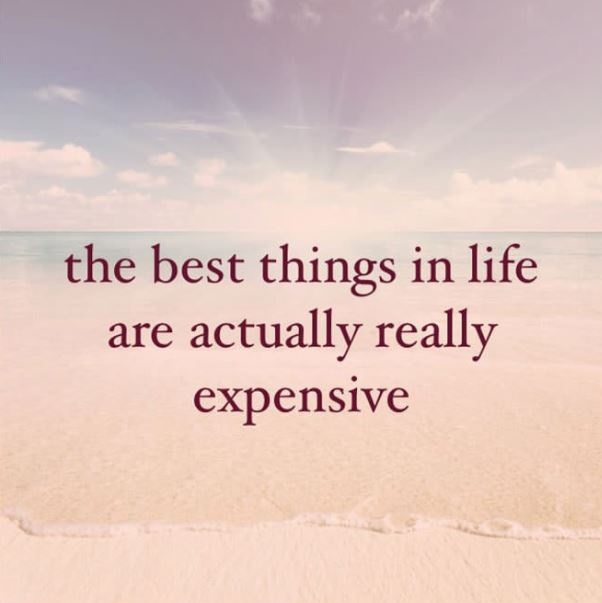 The best things in life are actually really expensive Picture Quote #2