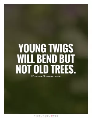 Young twigs will bend but not old trees Picture Quote #1