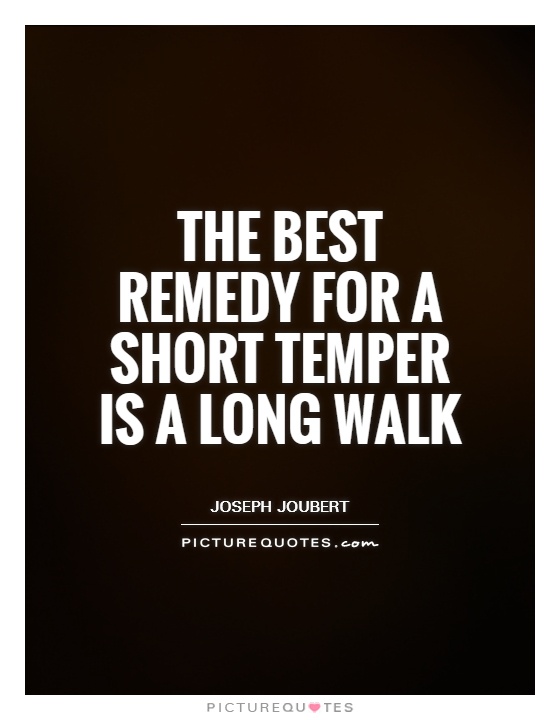 The best remedy for a short temper is a long walk Picture Quote #1