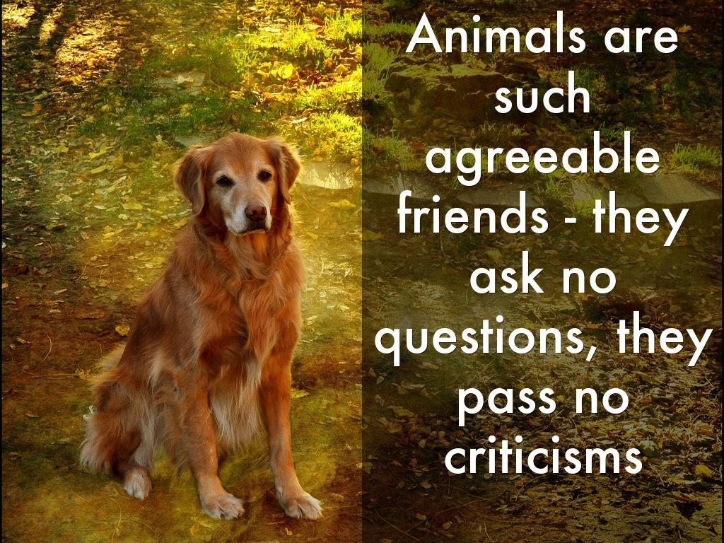 Animals are such agreeable friends - they ask no questions, they pass no criticisms Picture Quote #1