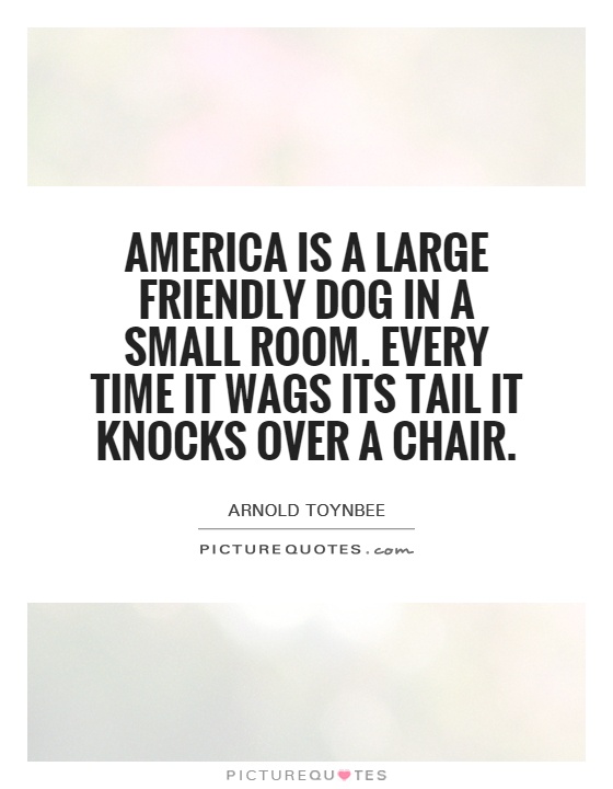America is a large friendly dog in a small room. Every time it wags its tail it knocks over a chair Picture Quote #1