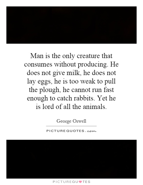 Man is the only creature that consumes without producing. He does not give milk, he does not lay eggs, he is too weak to pull the plough, he cannot run fast enough to catch rabbits. Yet he is lord of all the animals Picture Quote #1