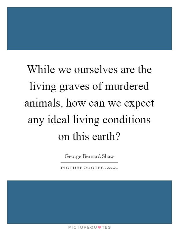 While we ourselves are the living graves of murdered animals, how can we expect any ideal living conditions on this earth? Picture Quote #1