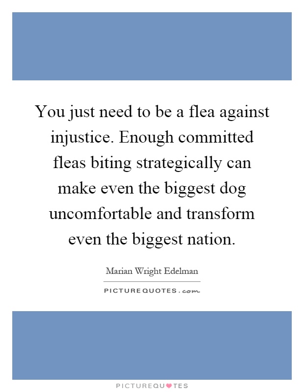 You just need to be a flea against injustice. Enough committed fleas biting strategically can make even the biggest dog uncomfortable and transform even the biggest nation Picture Quote #1