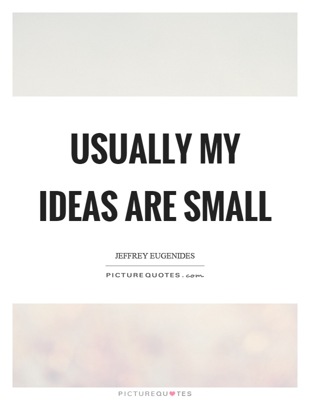 Usually my ideas are small Picture Quote #1