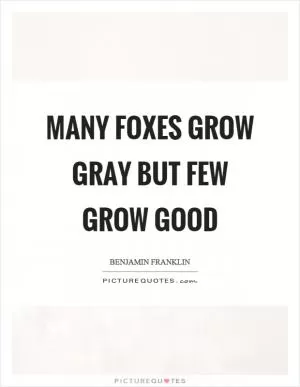 Many foxes grow gray but few grow good Picture Quote #1