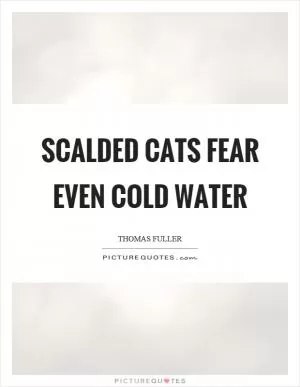 Scalded cats fear even cold water Picture Quote #1