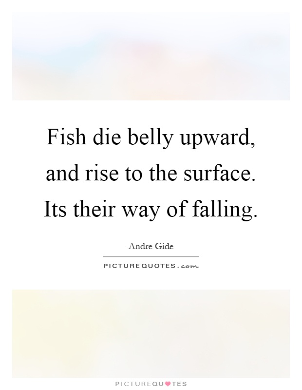 Fish die belly upward, and rise to the surface. Its their way of falling Picture Quote #1
