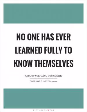 No one has ever learned fully to know themselves Picture Quote #1