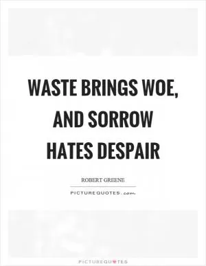 Waste brings woe, and sorrow hates despair Picture Quote #1