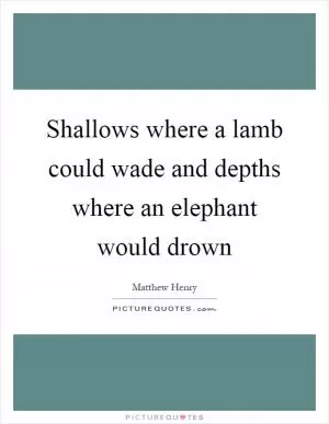 Shallows where a lamb could wade and depths where an elephant would drown Picture Quote #1