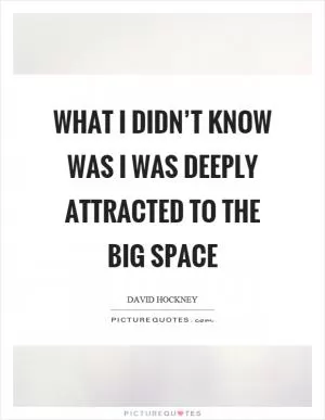What I didn’t know was I was deeply attracted to the big space Picture Quote #1