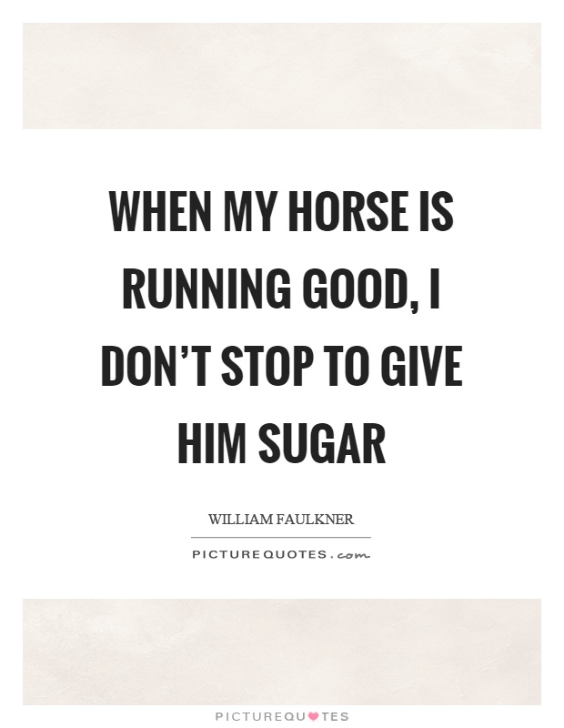 When my horse is running good, I don't stop to give him sugar Picture Quote #1