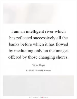 I am an intelligent river which has reflected successively all the banks before which it has flowed by meditating only on the images offered by those changing shores Picture Quote #1