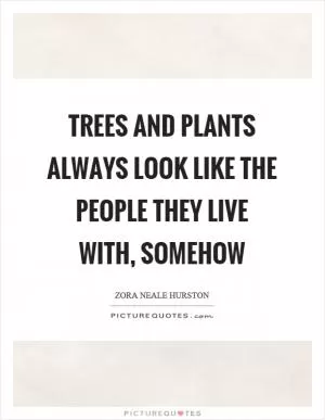 Trees and plants always look like the people they live with, somehow Picture Quote #1