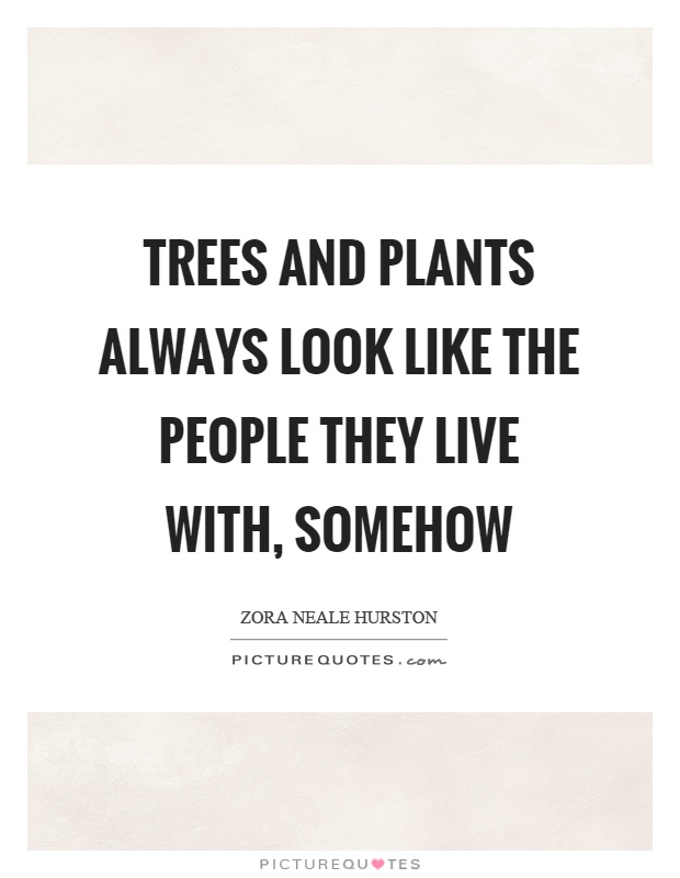 Trees and plants always look like the people they live with, somehow Picture Quote #1